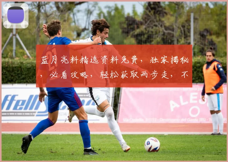 蓝月亮料精选资料免费，独家揭秘，必看攻略，轻松获取两步走，不容错过