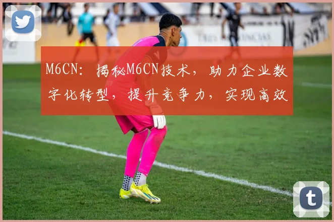 M6CN：揭秘M6CN技术，助力企业数字化转型，提升竞争力，实现高效运营