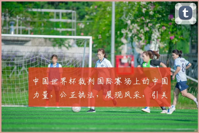 中国世界杯裁判国际赛场上的中国力量，公正执法，展现风采，引关注